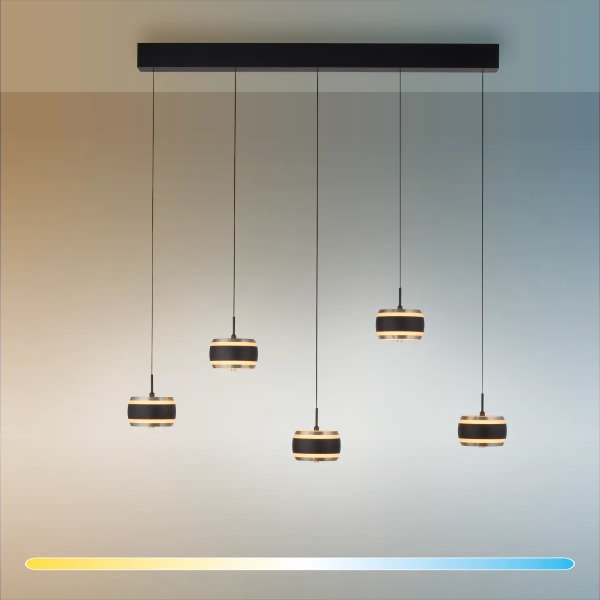 Opuszczana lampa wisząca góra-dół PURE FALLING RINGS czarna 2504-18 5x LED 8W 2200-5000K