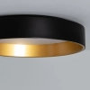 Plafon okrągły Royal ABR-PLR-C-20W-CCT LED 21W 2700-6500K czarny złoty