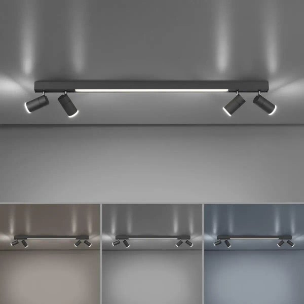 Grafitowa lampa sufitowa Pure-lines LED 25W reflektorki