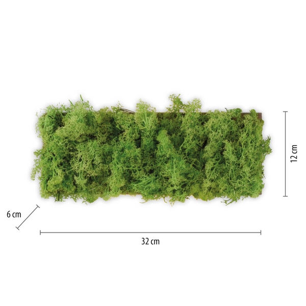 Naścienna lampa dekoracyjna GREEN CARL 15637-66 LED 0,8W 3000K zielony