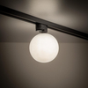 Oprawa szynowa 1-fazowa Tracer 4923 TK Lighting szklana mleczna kula