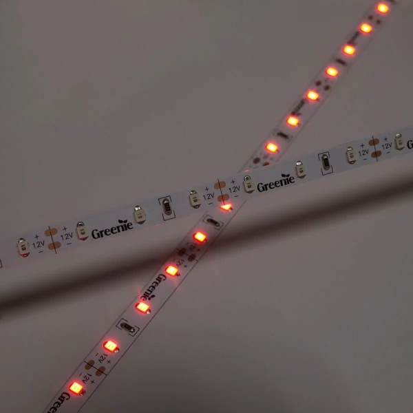 Ledowa taśma na rolce TL204GN Greenie LED 4,8W 5m zielona