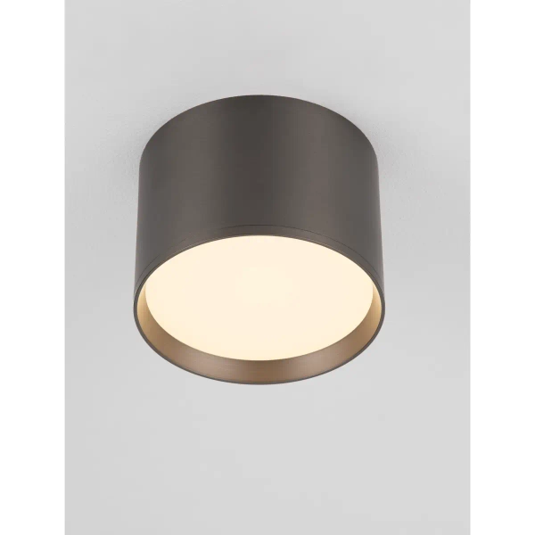 Sufitowa ledowa tuba RINVELA LE45506 LED 17W 3000K srebrna