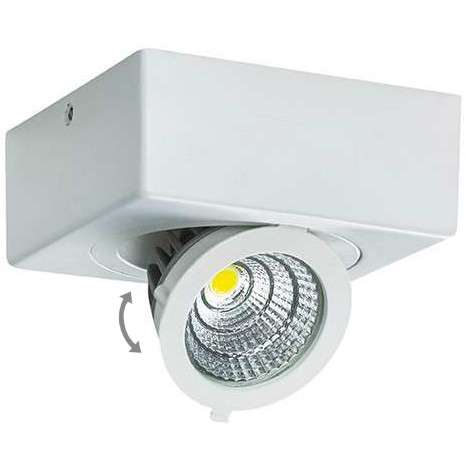 Oczko LAMPA natynkowa IGOR LED 9W 4000K 03128 Ideus metalowa OPRAWA sufitowa REFLEKTOREK regulowany biały