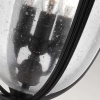 Zewnętrzna LAMPA wisząca English FE-EB8-L-BLK Elstead FEISS ogrodowa OPRAWA zwis retro na łańcuchu outdoor IP23 czarny przezroczysty