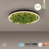 Okrągły plafon GREEN RITU 15391-66 Just Light LED 20W 3000K roślina zielony