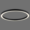 Owalna lampa sufitowa z pilotem PURE-LINES grafitowa 6306-13 1xLED 42W CCT