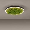 Okrągły plafon GREEN RITU 15391-66 Just Light LED 20W 3000K roślina zielony