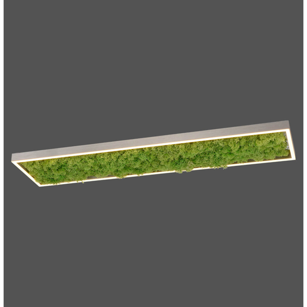Dekoracyjny plafon GREEN KNUT 15623-66 LED 25W 3000K do jadalni zielony