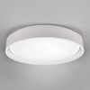 Ledowy plafon gabinetowy Felis R64391031 RL Light 24W 2700-6500K biały