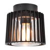 Szklana lampa sufitowa Shyne 6397501012 IP54 na zewnątrz czarna