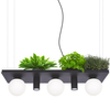 Lampa wisząca Plant Shelf 5555 Zumaline półka na rośliny kule czarne białe