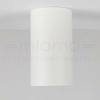 Spot LAMPA sufitowa DARIA ROUND 1W/W INQ okrągła OPRAWA natynkowa downlight tuba biała