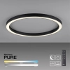 Owalna lampa sufitowa z pilotem PURE-LINES grafitowa 6306-13 1xLED 42W CCT