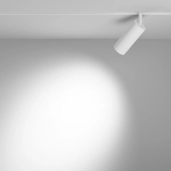 Magnetyczna lampa do szynoprzewodów Focus TR032-4-12WTW-S-DD-W LED 12W 2700-6000K biała