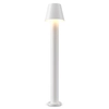 Zewnętrzna lampa ogrodowa Harz O421FL-L5W LED 5W biała