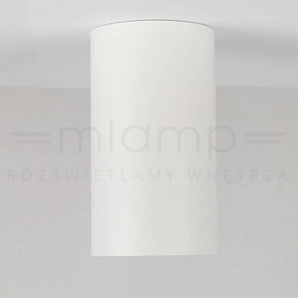 Spot LAMPA sufitowa DARIA ROUND 1W/W INQ okrągła OPRAWA natynkowa downlight tuba biała