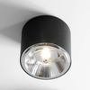 Okrągły downlight BOT 1047PL_G Aldex metalowy plafon czarny