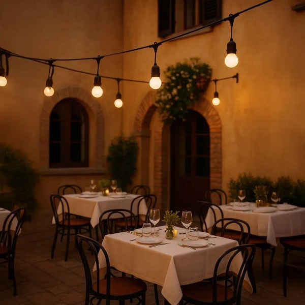 Klimatyczna girlanda do ogrodu Summer Time EKG2292 LED 6W 3000K IP44 czarny