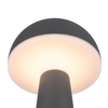 Zewnętrzna lampka stojąca Fungo R57716142 RL Light IP54 LED 2W 3000-5000K czarny