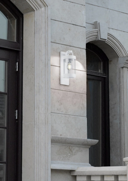 Ścienna LAMPA ogrodowa CUSTYRA DL131204160 Trio industrialna OPRAWA elewacyjny kinkiet outdoor IP44 biały przezroczysty