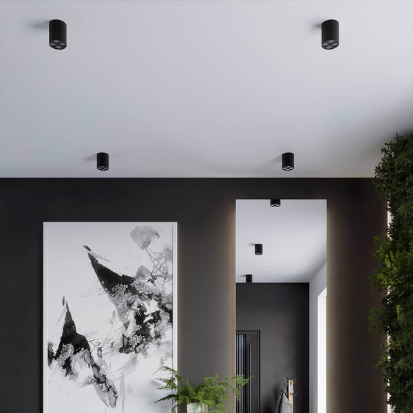 Plafoniera sufitowa Zoe SL.1210 Sollux LED 9W 4000K tubka do kuchni czarny