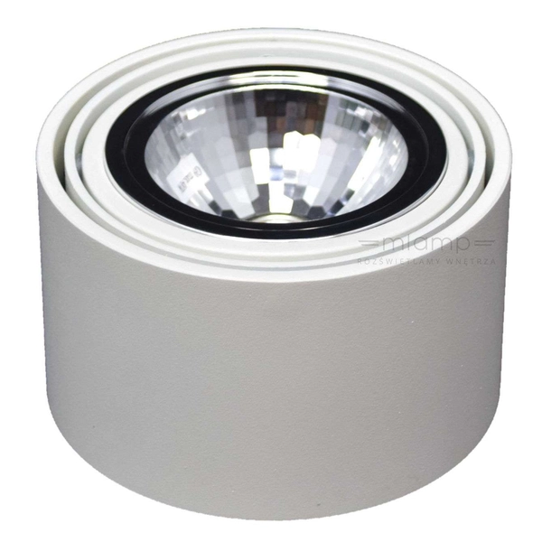 Halogenowa LAMPA sufitowa LUMOS 1 70251101 Kaspa natynkowa OPRAWA plafon regulowany spot metalowy biały