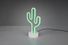 Stojąca lampka biurkowa Cactus R55220101 LED 1,8W  lampa kaktus zielony
