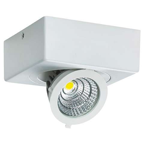Oczko LAMPA natynkowa IGOR LED 9W 4000K 03128 Ideus metalowa OPRAWA sufitowa REFLEKTOREK regulowany biały
