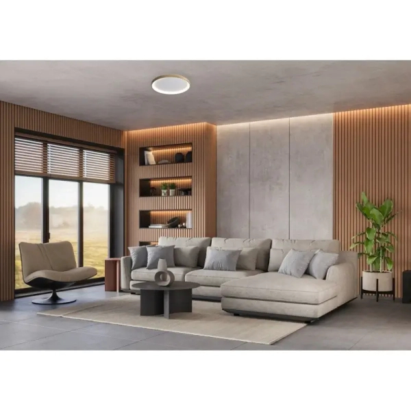 Plafon metalowy okrągły Raden CLN-3151-S-GD LED 50W 3000-6000K złoty