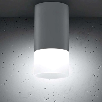 Sufitowa lampa spot 2273686 okrągła tuba downlight industrialny biały