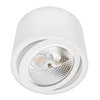 Natynkowa lampa sufitowa Tocha 1073 Brosline ruchoma spot biała