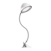 Lampka biurkowa na peszlu RONI 02923 Ideus LED 4W 4100K włącznik biała