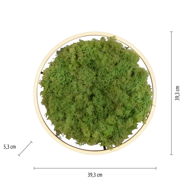 Okrągły plafon GREEN RITU 15391-66 Just Light LED 20W 3000K roślina zielony