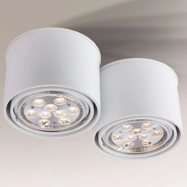 Spot LAMPA sufitowa MIKI 7019 Shilo natynkowa OPRAWA DOWNLIGHT do łazienki biały