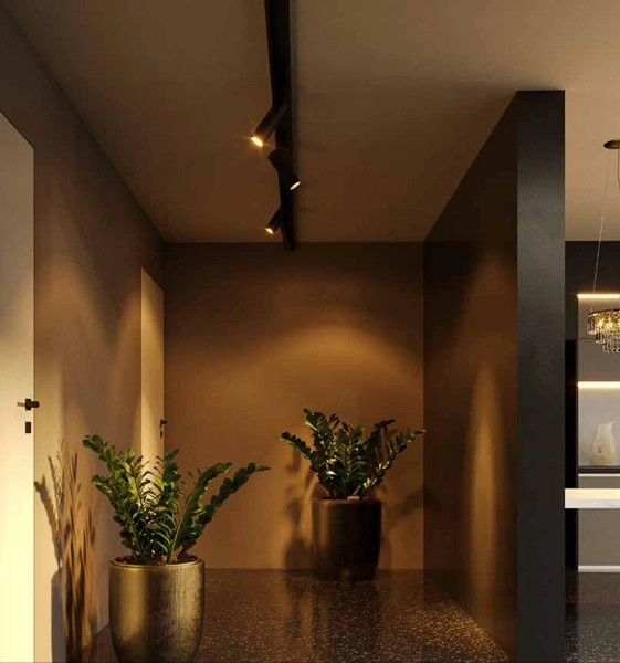 Regulowana LAMPA sufitowa SHINEMAKER S0016 LED 15W Maxlight metalowy reflektorek tuba do systemu szynowego 3 - fazowego czarna