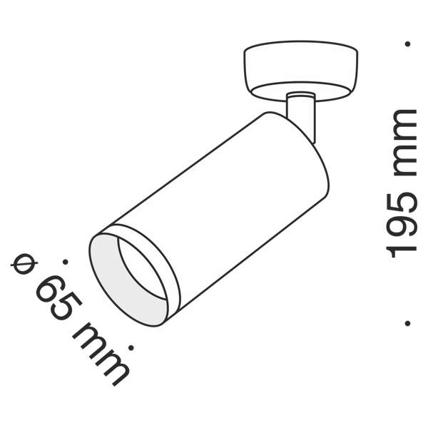 Sufitowy reflektor do gabinetu Focus C017CW-01B Maytoni regulowany czarny