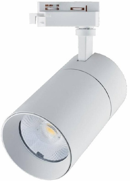 Metalowy reflektor Blaupunkt RS3W-30CCT LED 30W 3000-4000-5700k biały