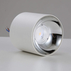 Lampa sufitowa Roller DLW10WW tuba LED 10W 3000K do przedpokoju biała