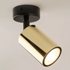Spot reflektor regulowany Zoom 33506 Sigma tuba metalowy czarny złoty