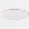 Minimalistyczna natynkowa lampa Omar JE-DHR-0530-GD LED 48W 4000K biały