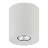 Spotlight lampa sufitowa Orion 3237 TK Lighting tuba metalowa biała