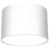 Pokojowa lampa sufitowa Dixie do przedpokoju loft biała