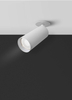 Punktowa lampa sufitowa Focus C018CL-01W z regulacją biała