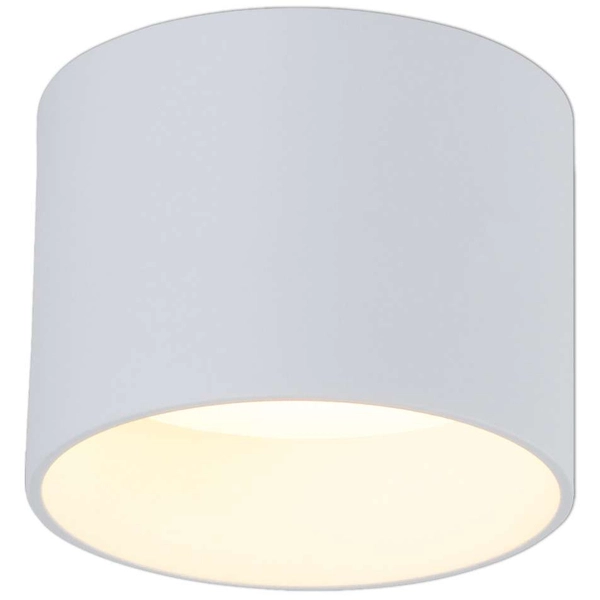 Biurowa LAMPA sufitowa TRIOS 4119423 Nave metalowa OPRAWA plafon LED 12W 3000K + 4000K okrągły biały