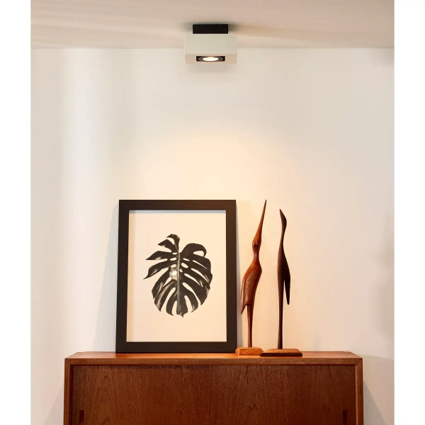 Natynkowa lampa sufitowa XIRAX 09119/06/31 Lucide biała czarna