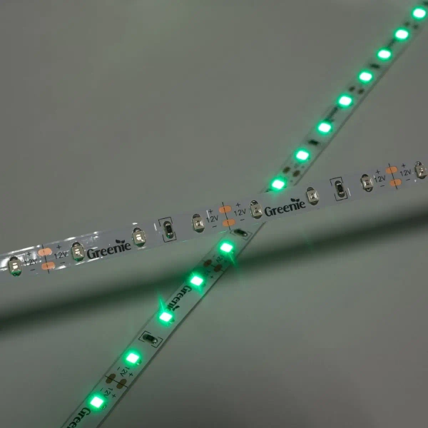 Ledowa taśma na rolce TL204GN Greenie LED 4,8W 5m zielona