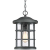Wisząca LAMPA industrialna Crusade QZ-CRUSADE8-BLK Elstead QUOIZEL okrągła OPRAWA szklany ZWIS na łańcuchu IP44 czarny