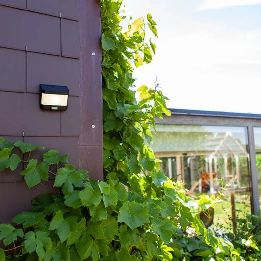 Lampa ścienna z czujnikiem ruchu TRY 6939101330 LED 8W 5000K IP54 czarny