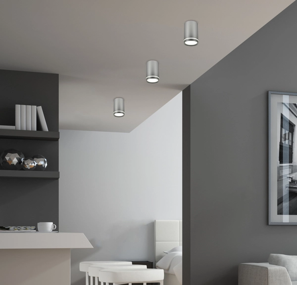 Spot lampa sufitowa 2277158 okrągła plafon metalowa tuba srebrna